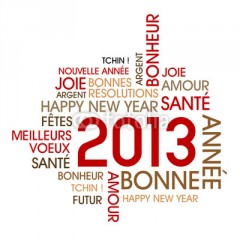 voeux 2013.jpg